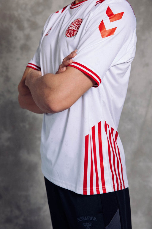 DENMARK 2022 LIMITED EDITION KIT